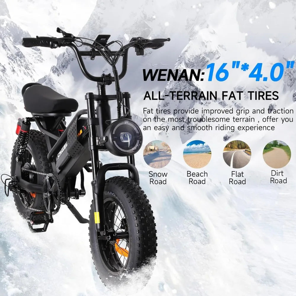 750W Motor 16" Fat Tire Ebike